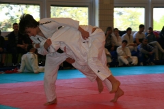 image_76