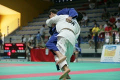 image_1