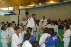 image_337