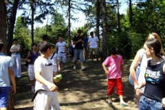 image_371