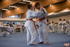 IMG_6583