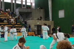 image_31