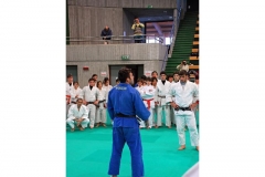 image_433