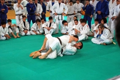 image_8