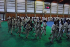 DSCF0129