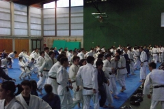 DSCF0137