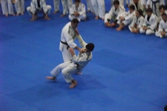 DSCF0142