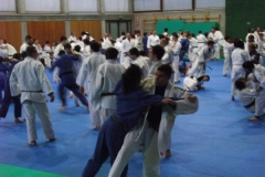 DSCF0177