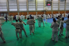 DSCF0184