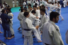 DSCF0185