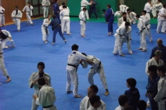 DSCF0199