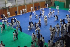 DSCF0202