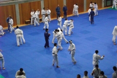 DSCF0204