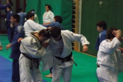 DSCF0240