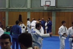 DSCF0246